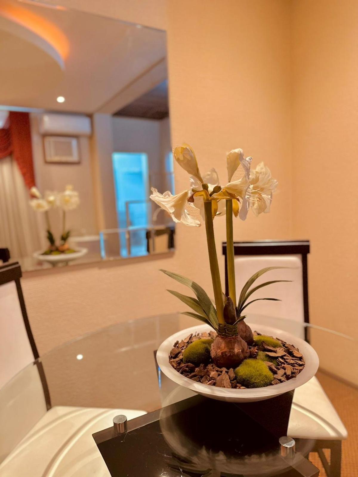 Skalla Hotel Nova Odessa Eksteriør bilde